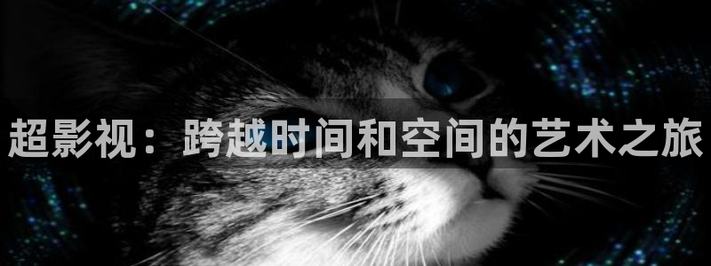 电视剧免费观看西瓜影院