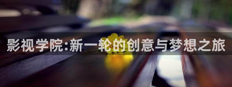 妈妈的朋友西瓜电影：影视学院:新一轮的创意与梦想之旅