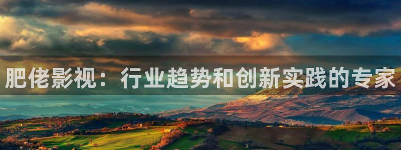 高端 西瓜：肥佬影视：行业趋势和创新实践的专家